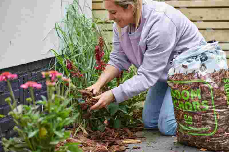 Femme en pull violet jardine à genoux, étalant du paillis autour des plantes avec un sac de terreau à côté.