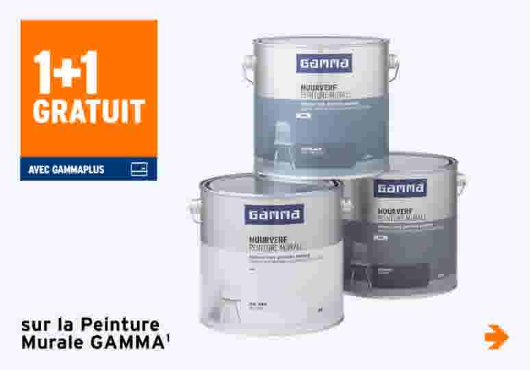 1+1 gratuit sur la Peinture Murale GAMMA