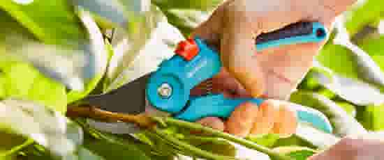 Hoe onderhoud ik mijn tuin in het najaar?