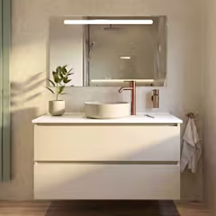 Moderne badkamermeubel met witte waskom, koperen kraan, spiegel met verlichting en een kleine groene plant.