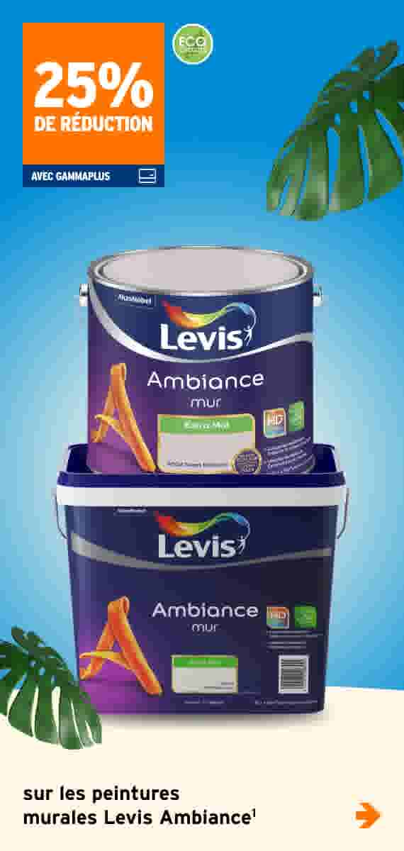 25% de réduction sur les peintures