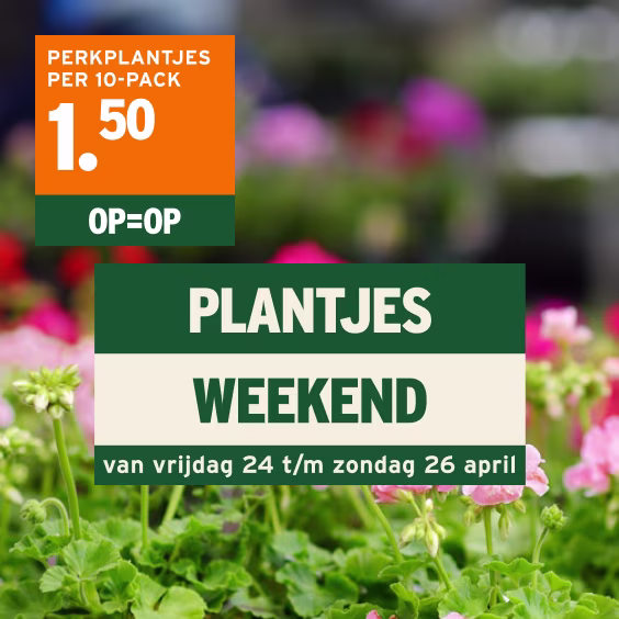 Plantjes weekend