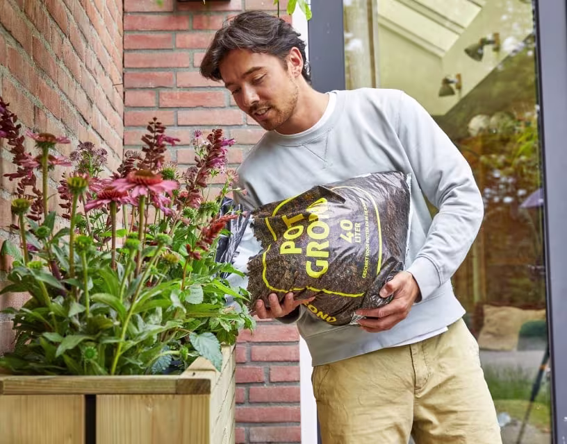 Guide : quel terreau pour ma plante ?