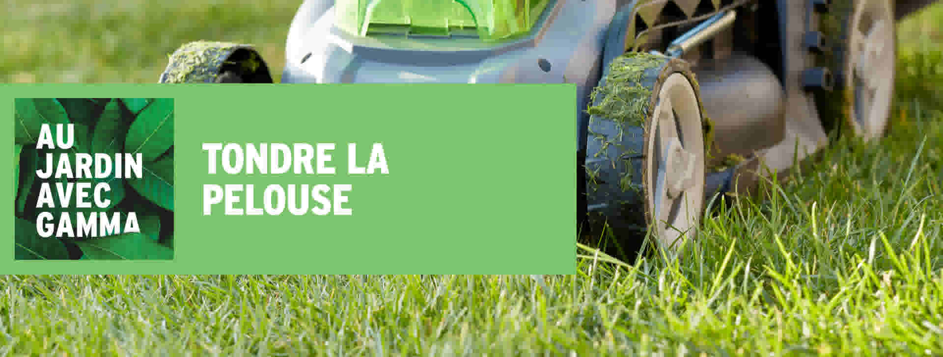 Tondre La Pelouse Gamma