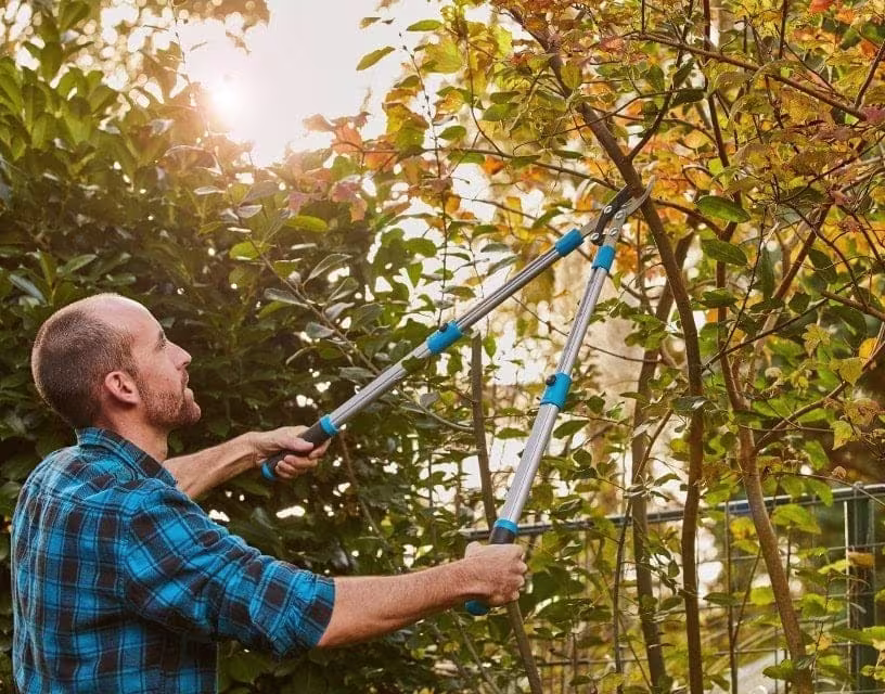 Que faire au jardin en juin ?