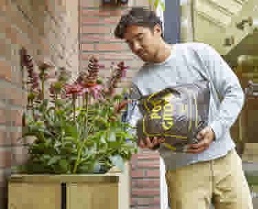 Homme en t-shirt blanc arrosant des plantes rouges dans un bac en bois près d'un mur de briques.