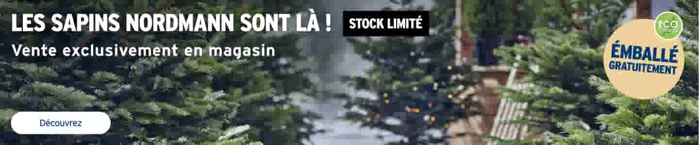 Les sapins Nordmann sont retour