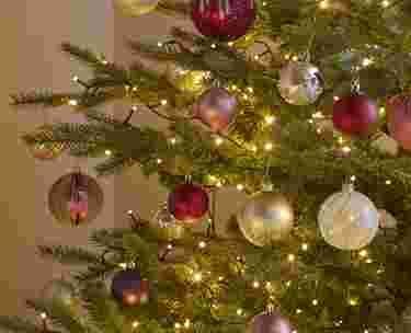 Kerstboom verzorgen - thumbnail - gamma