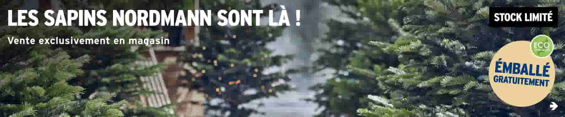 Les sapins Nordmann sont là !