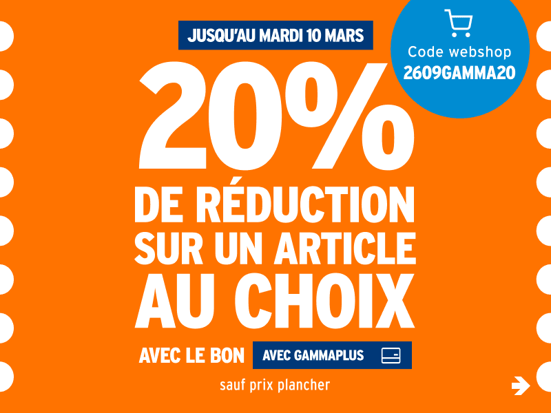 20% de réduction sur un article au choix