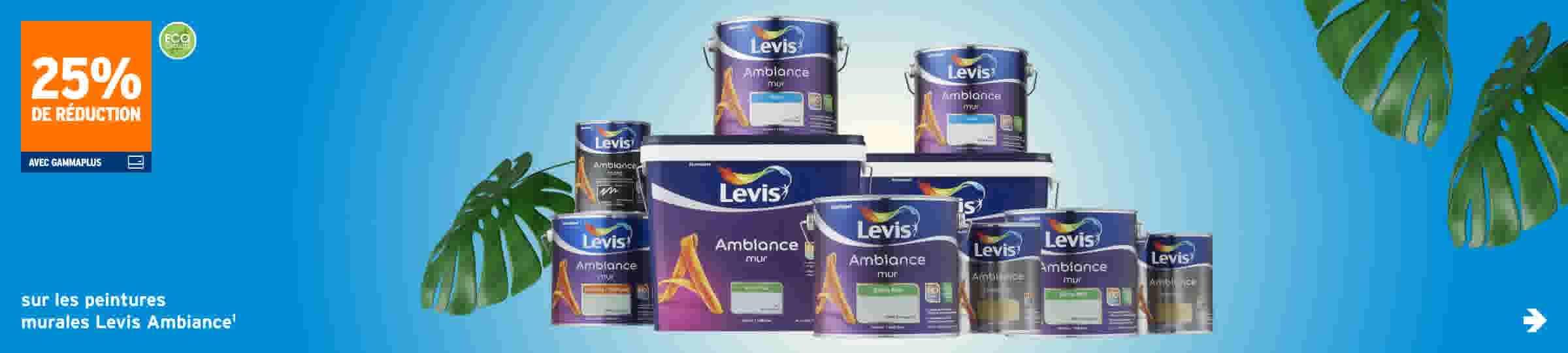 sur les peintures murales Levis Ambiance1