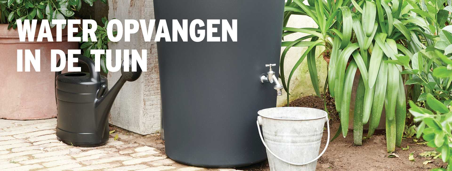 Water opvangen in de tuin? Volg deze tips! GAMMA