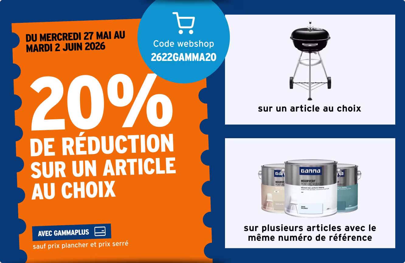 20% de réduction sur un article au choix