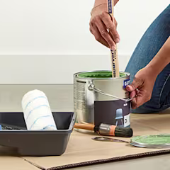 Bac à peinture avec rouleau et pot de peinture murale verte