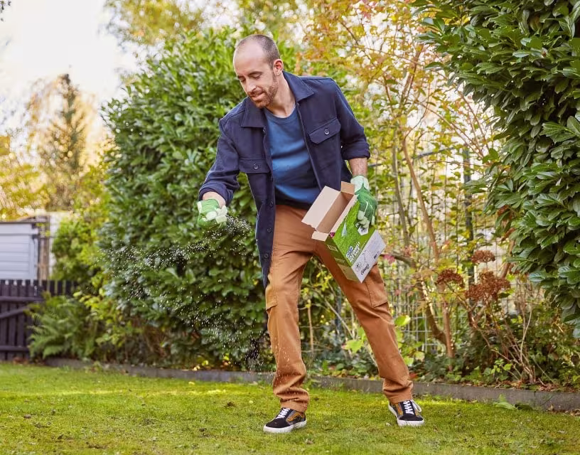 Comment fertiliser sa pelouse?