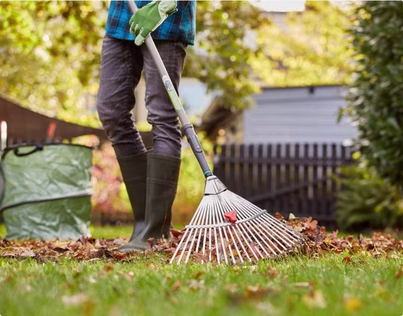 Tuinkalender november: hoe zorg ik in november voor de tuin?