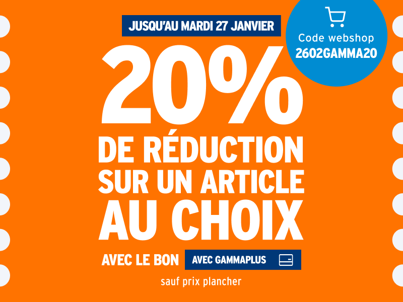20% de réduction sur un article au choix