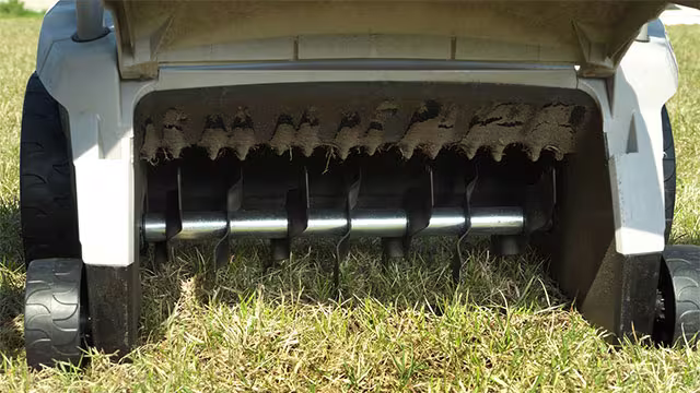 Comment choisir son scarificateur ?