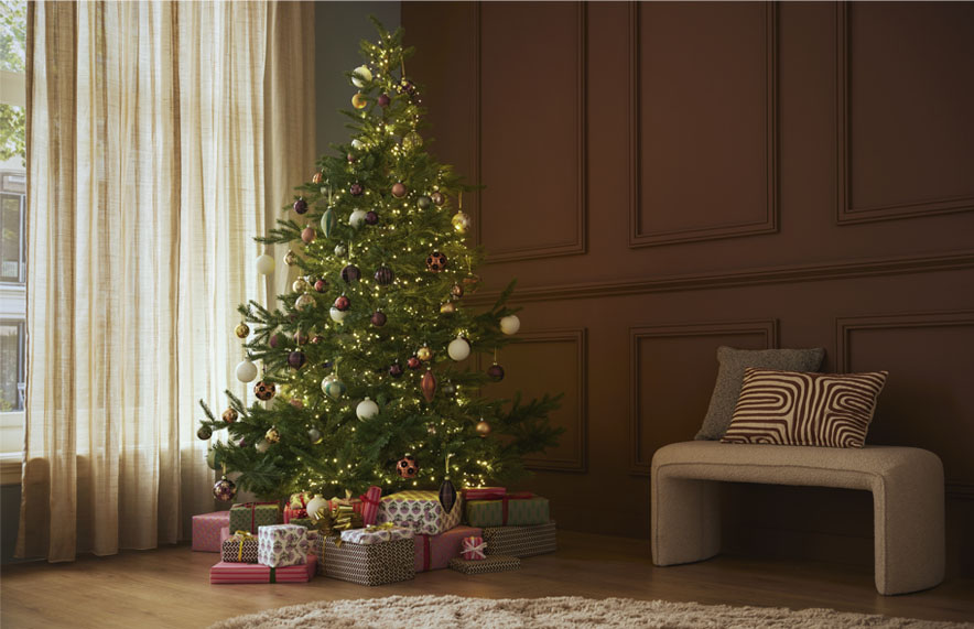 Je kerstboom Ontdek onze tips! GAMMA