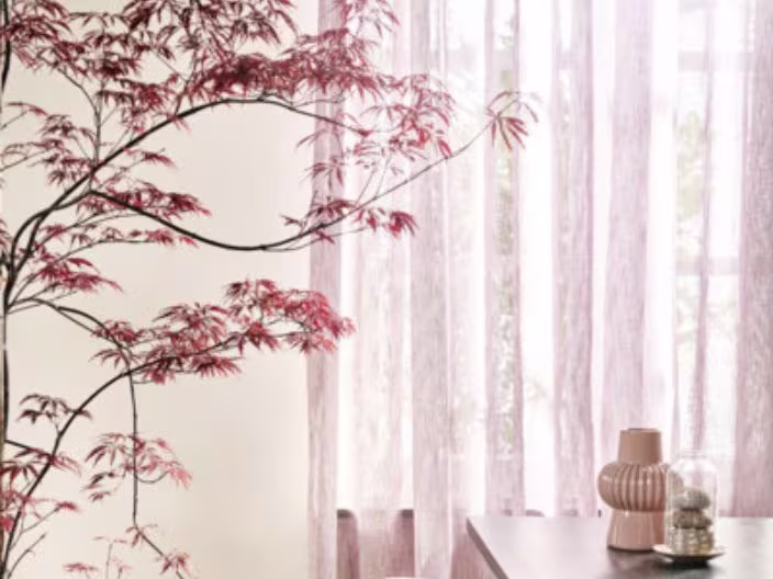 Japanse esdoorn met rode bladeren naast lichte gordijnen, met decoratieve vazen op een tafel in een serene kamerinrichting.