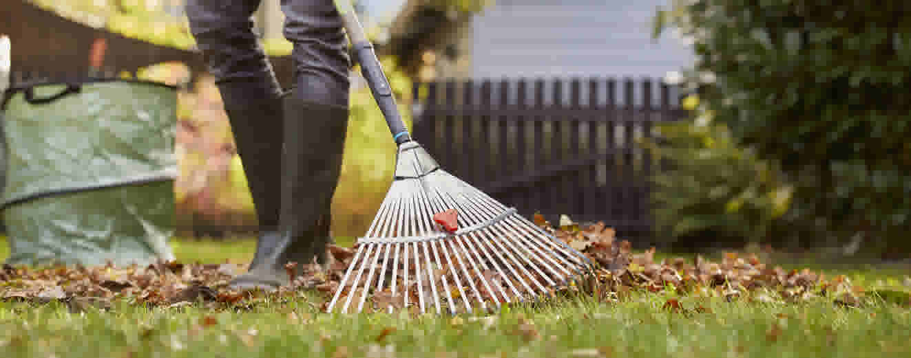 Persoon in rubberen laarzen harkt herfstbladeren in de tuin met een metalen hark naast een groene afvalzak.