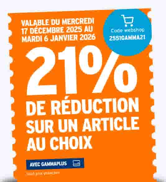 20% de réduction sur un article au choix