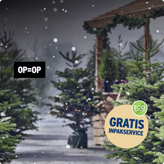 De Nordmannen zijn er!