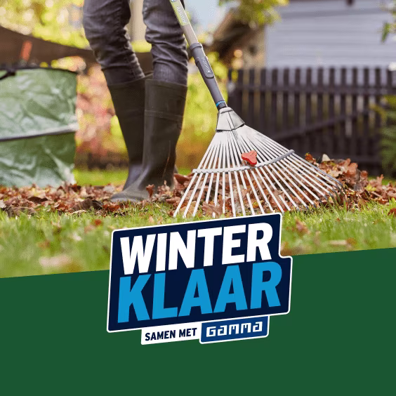 Persoon harkt herfstbladeren in tuin met hark, logo 'Winterklaar samen met Gamma' onderaan zichtbaar.