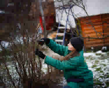 tuinkalender-februari-snoeien-gamma-app