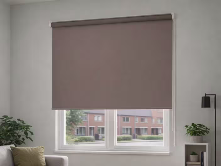 Bruin rolgordijn half neergelaten voor een raam met uitzicht op een straat. Lichte kamer met planten en een vloerlamp.