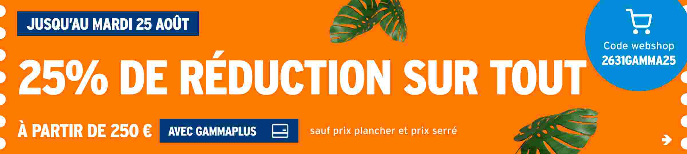 25% de réduction sur tout
