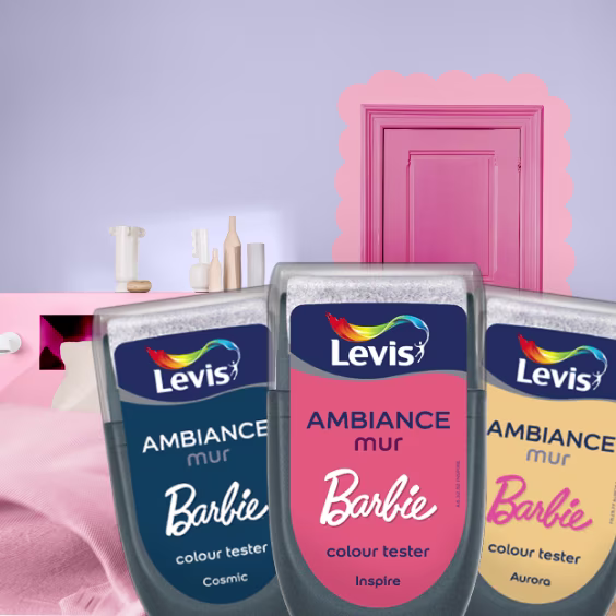 Levis kleuradviesdag bij gamma