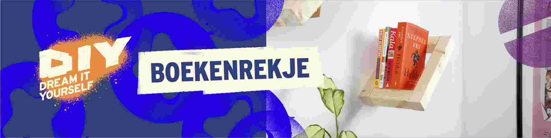 DIY logo met blauwe abstracte vormen, tekst 'BOEKENREKJE' en houten boekenplank met boeken tegen witte muur