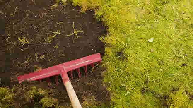 Tutorial - Jardin - Comment éliminer la mousse dans la pelouse ? - Thumbnail
