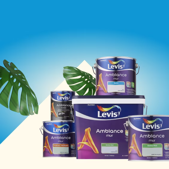 25% korting op alle Levis Ambiance muurverf