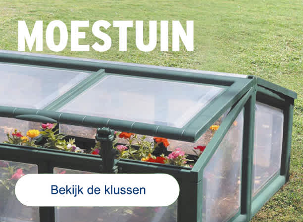 Alles over je tuin aanleggen en je tuin onderhouden GAMMA