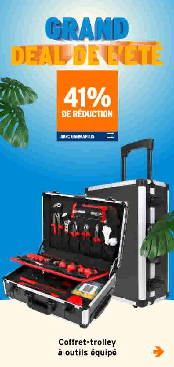 41% de réduction Coffret-trolley à outils équipé