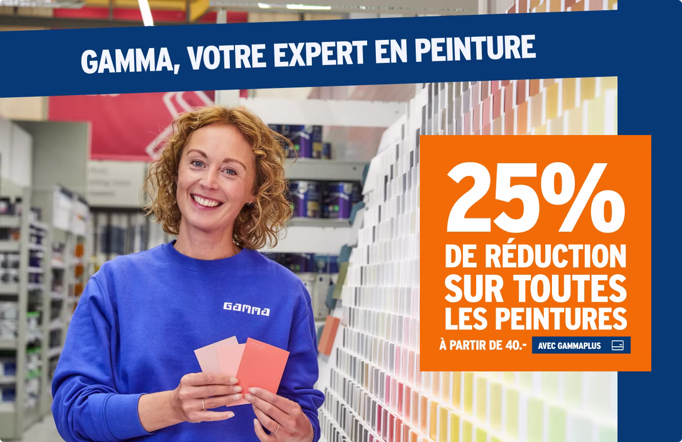 Journées peinture - 25% de réduction sur toutes les peintures