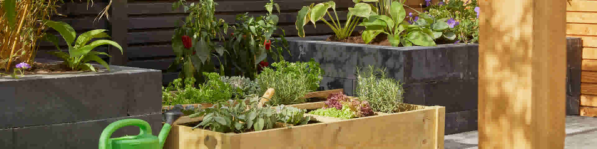 5 tips voor een duurzame tuin