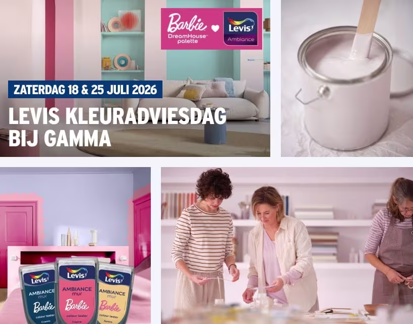 Gratis Levis kleuradviesdag