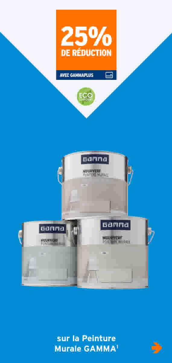 25% de réduction sur la Peinture Murale GAMMA