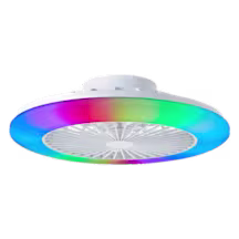 Plafondventilator met lamp