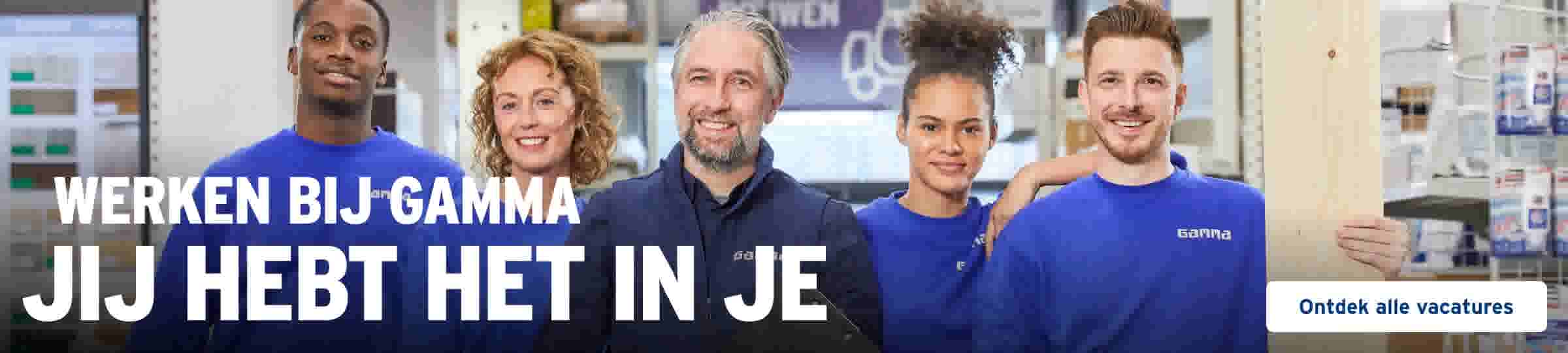 Werken bij GAMMA, jij hebt het in je. Ontdek alle vacatures. Vijf medewerkers van GAMMA in blauwe werkkleding lachend in een winkel.