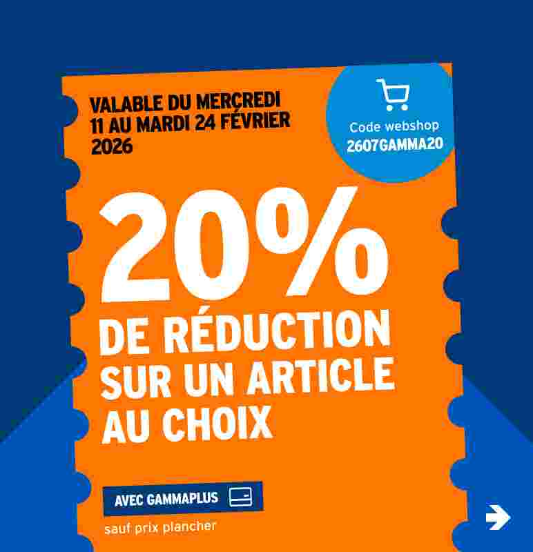 20% de réduction sur un article au choix