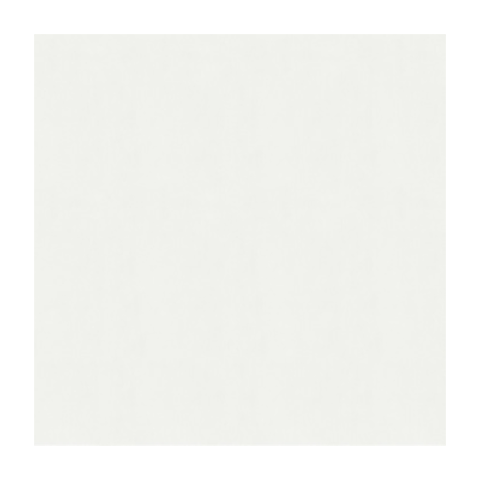 Papier peint intissé