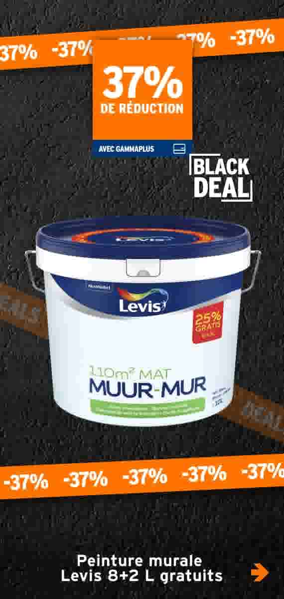 37% de réduction Peinture murale Levis 8+2 L gratuits
