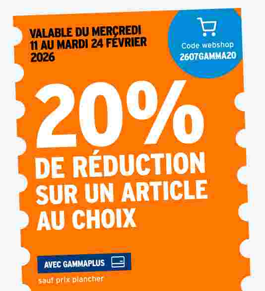 20% de réduction sur un article au choix