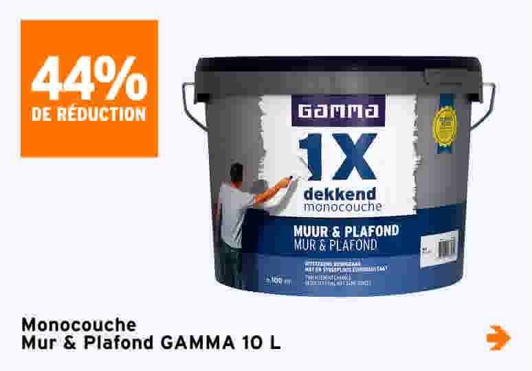 44% de réduction Monocouche Mur & Plafond GAMMA 10 L
