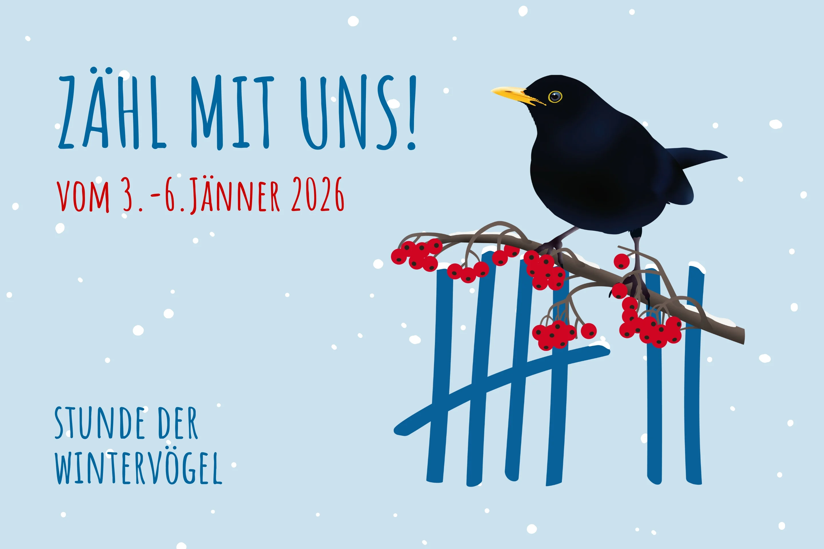 Stunde der Wintervögel 2026 Banner.
