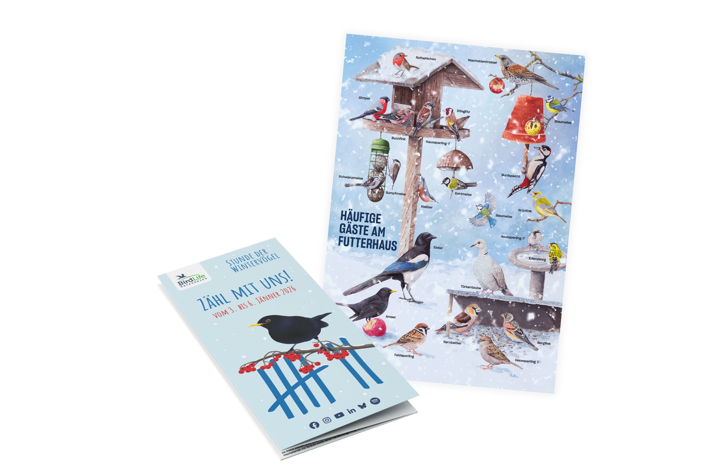 Die Schulpakete für die Stunde der Wintervögel bestehen aus Foldern und einem Poster.
